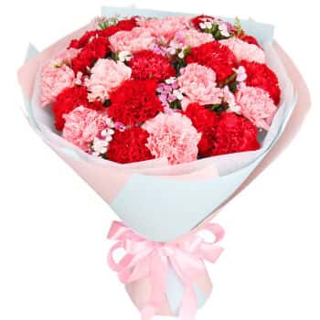 爱花居鲜花速递29朵康乃馨花束送老师	