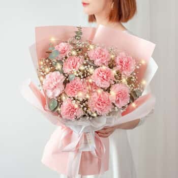 爱花居鲜花速递康乃馨花束生日礼物送母亲长辈同城配送温馨祝福|U39	